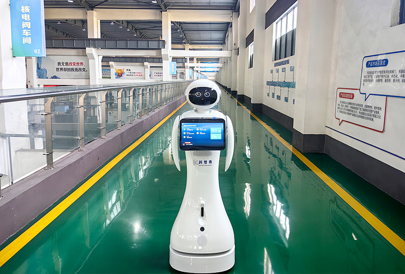 1762509565802647.jpg 5.jpg